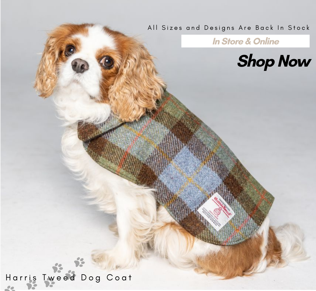Step into Wagging Paradise with Fur-bulous Harris Tweed Dog Coat
