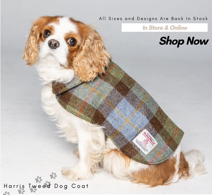 Step into Wagging Paradise with Fur-bulous Harris Tweed Dog Coat