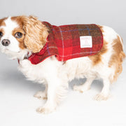 Harris Tweed Dog Coat - Red/Green Check