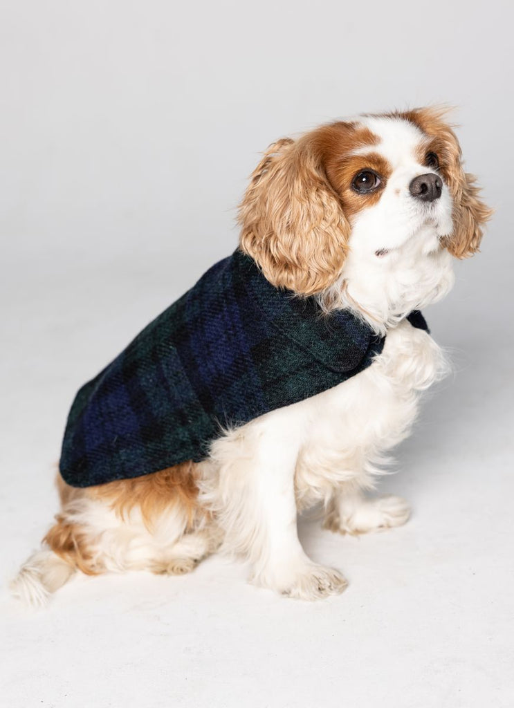 Buffalo plaid dog sales coat