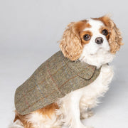 Harris Tweed Dog Coat - Green Herringbone