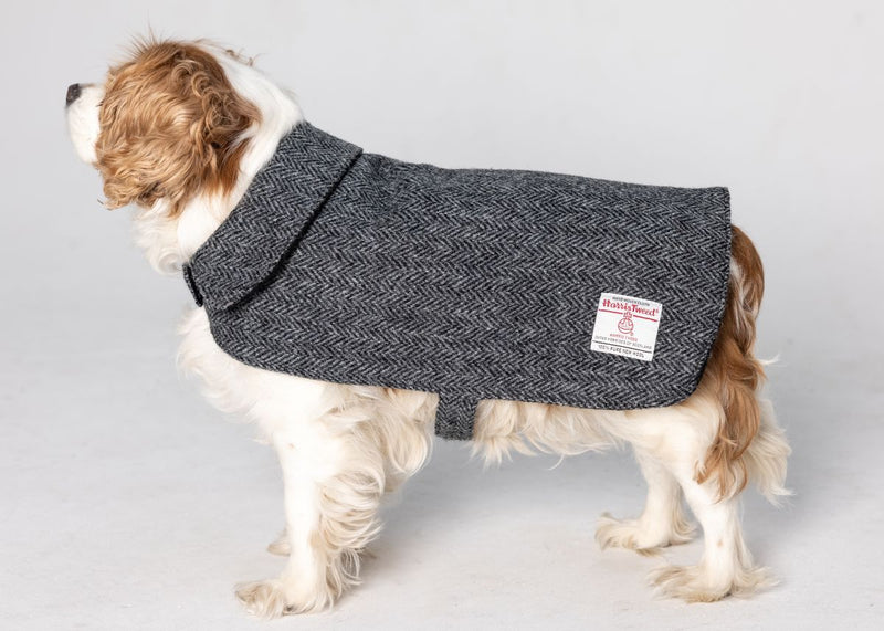 Harris Tweed Dog Coat - Grey Herringbone