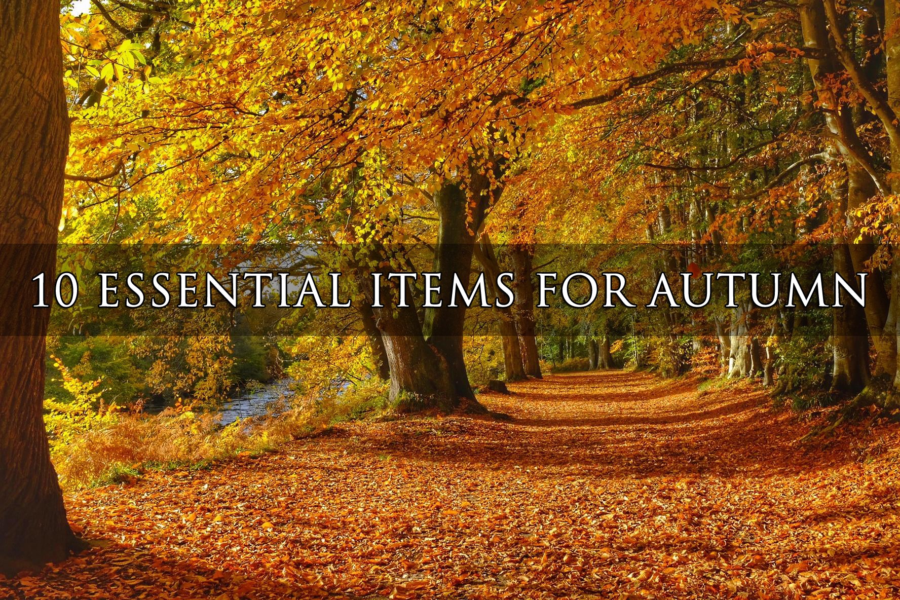 10 Essential items for Autumn!