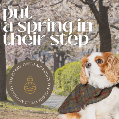 Harris Tweed Dog Jackets