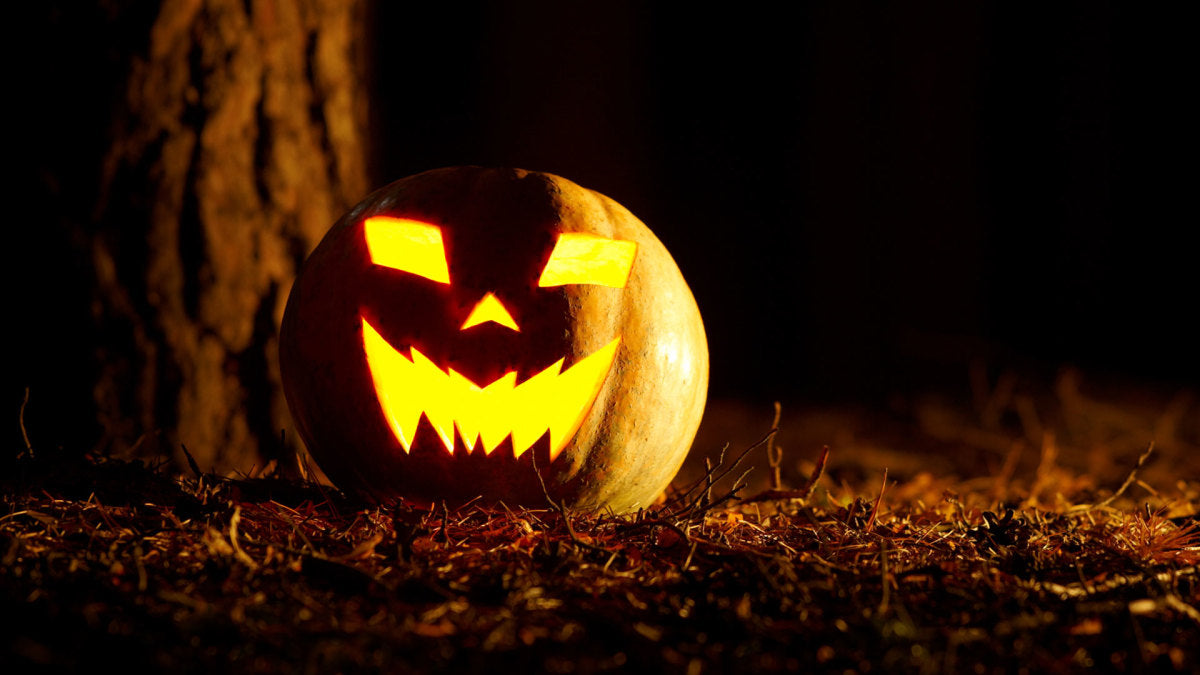 What makes Halloween in Scotland so scary?