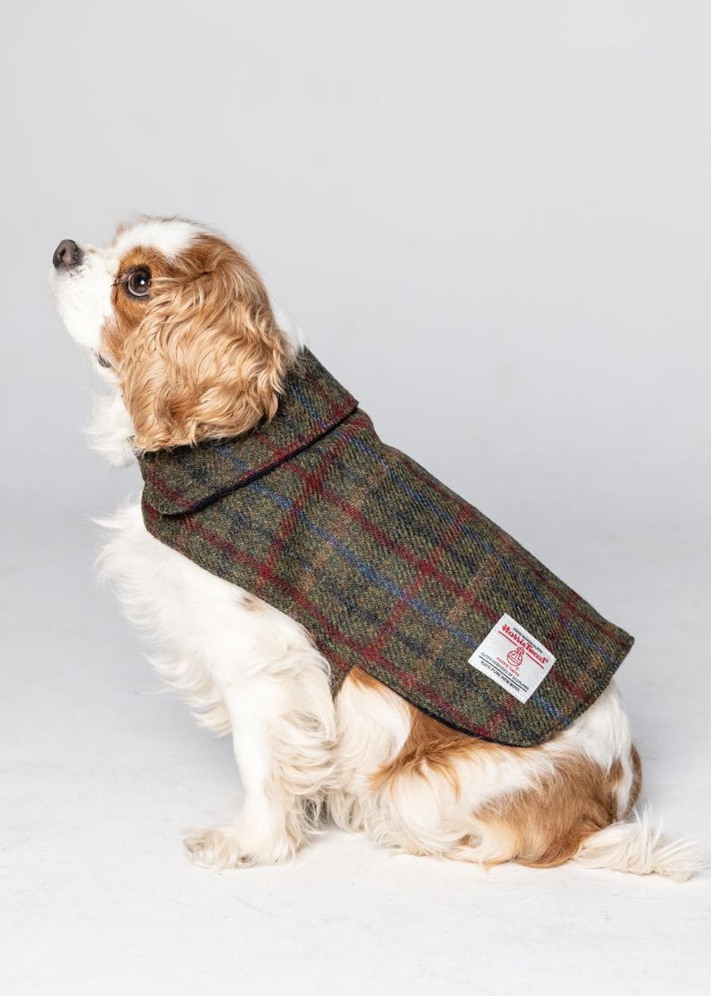 Traditional Scottish Harris Tweed Coat For Dogs Scotland Kilt Co