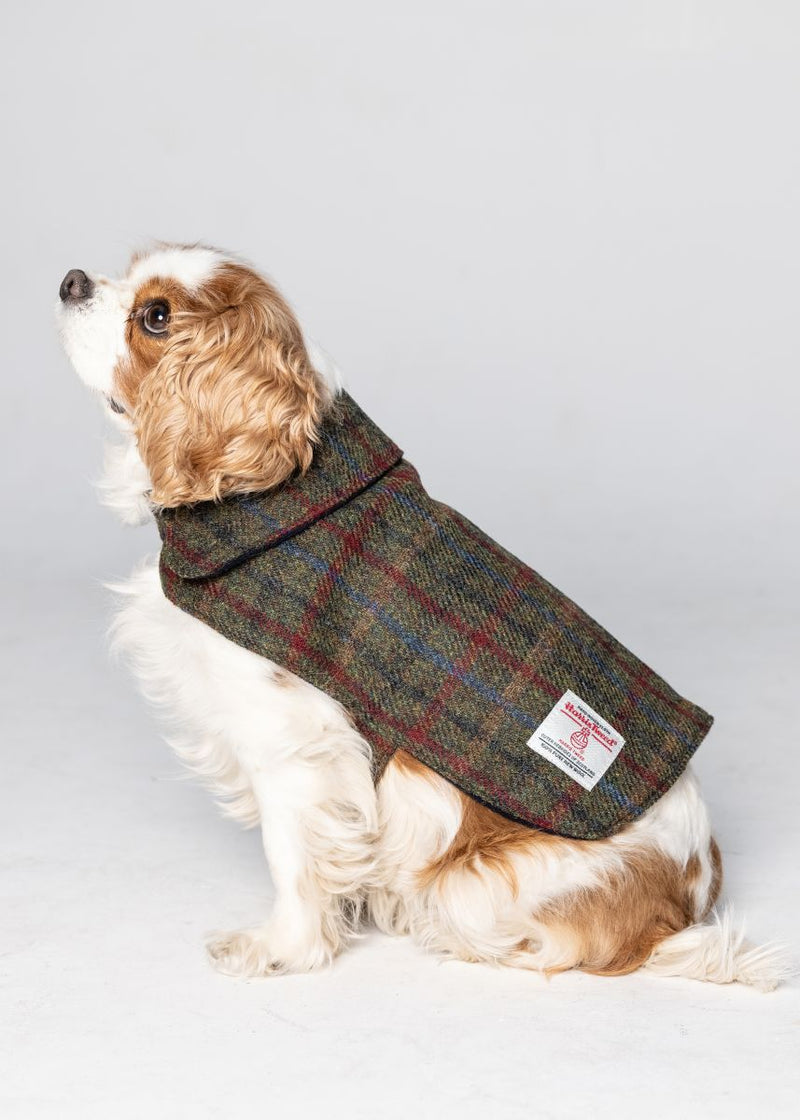 Harris Tweed Dog Coat - Brown Mix Check