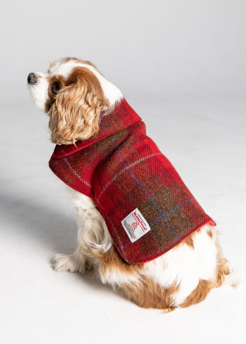 Harris Tweed Dog Coat - Red/Green Check