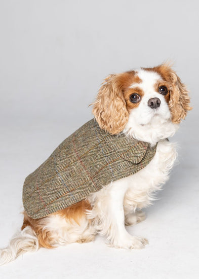 Harris Tweed Dog Coat - Green Herringbone