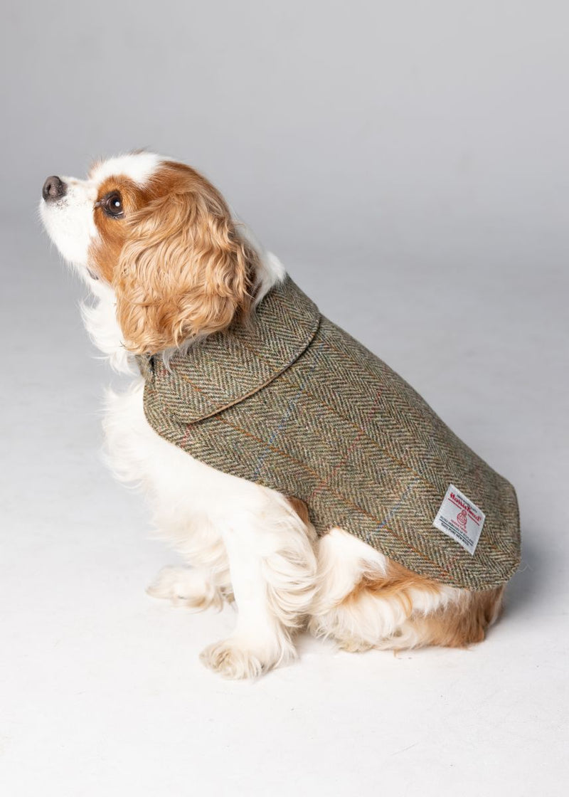 Harris Tweed Dog Coat - Green Herringbone