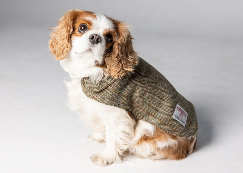 Harris Tweed Dog Coat - Green Herringbone