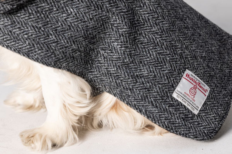 Harris Tweed Dog Coat - Grey Herringbone