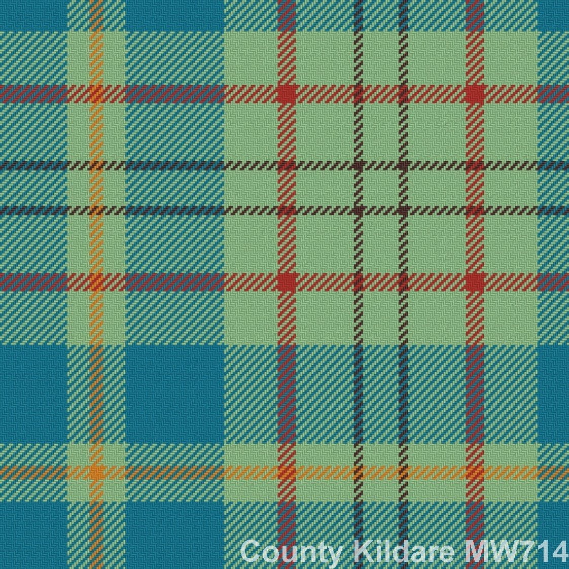 Kildare County