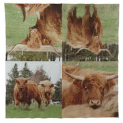 Highland Cow Napkin (Pack of 20)