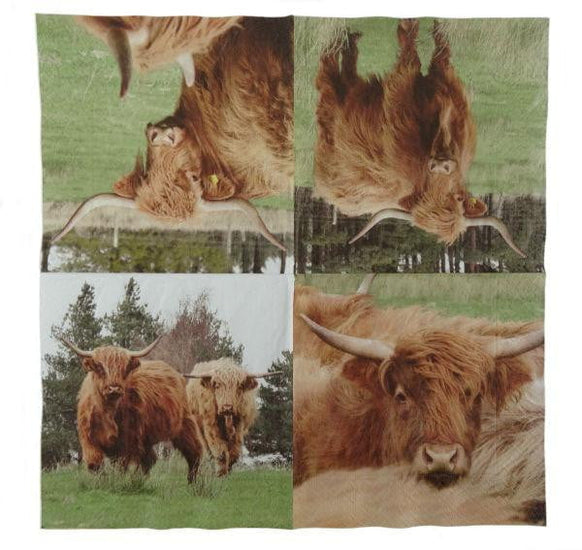 Highland Cow Napkin (Pack of 20)