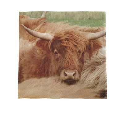 Highland Cow Napkin (Pack of 20)